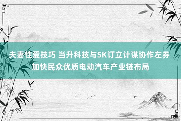 夫妻性爱技巧 当升科技与SK订立计谋协作左券 加快民众优质电动汽车产业链布局