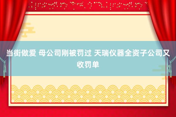 当街做爱 母公司刚被罚过 天瑞仪器全资子公司又收罚单