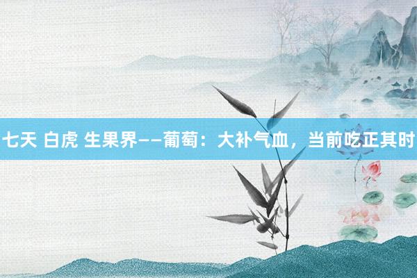 七天 白虎 生果界——葡萄：大补气血，当前吃正其时