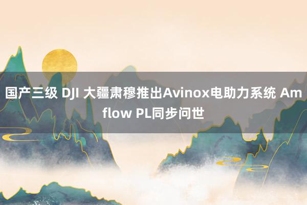 国产三级 DJI 大疆肃穆推出Avinox电助力系统 Amflow PL同步问世