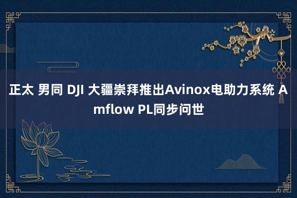 正太 男同 DJI 大疆崇拜推出Avinox电助力系统 Amflow PL同步问世