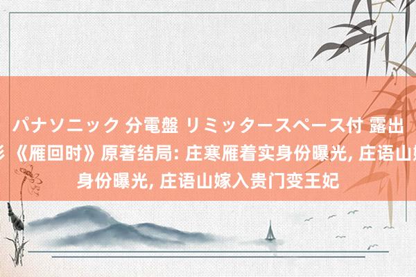パナソニック 分電盤 リミッタースペース付 露出・半埋込両用形 《雁回时》原著结局: 庄寒雁着实身份曝光, 庄语山嫁入贵门变王妃